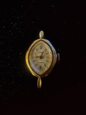 Women's Capital Watch
